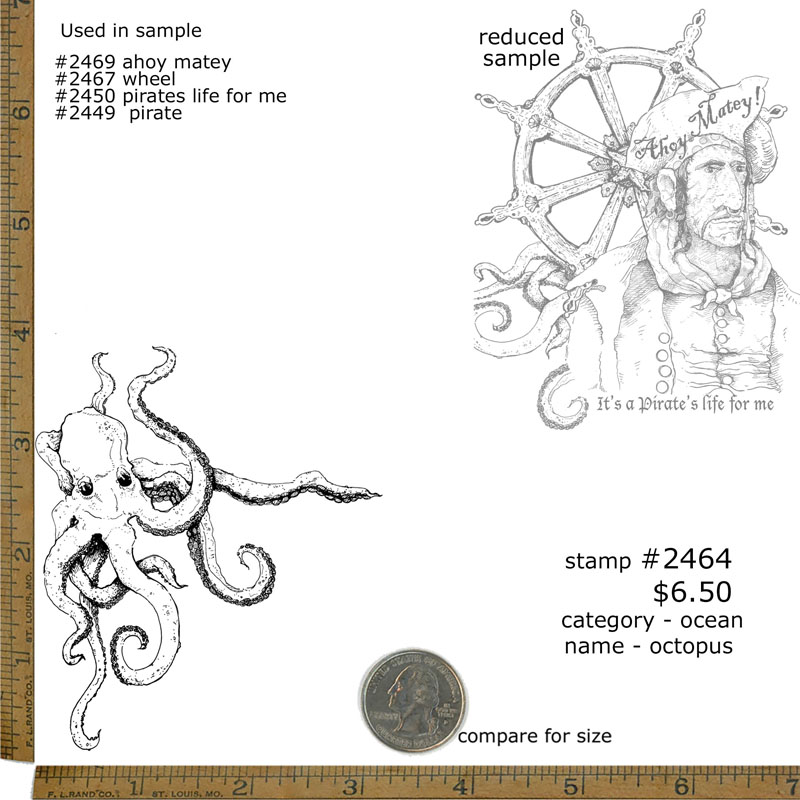 #2464 - Octopus - Ocean